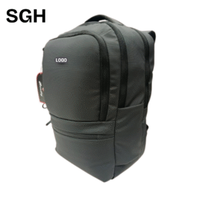 Back Pack Laptop Bag